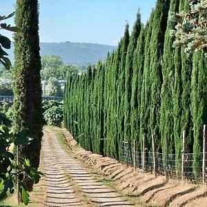 Camugnano Farm Alloggio per agriturismo Rapolano Terme